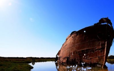 The Sunk Cost Fallacy